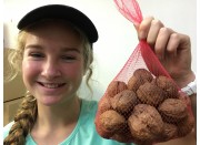SPRAY FREE WALNUTS  500 Gram Bag Katikati Grown